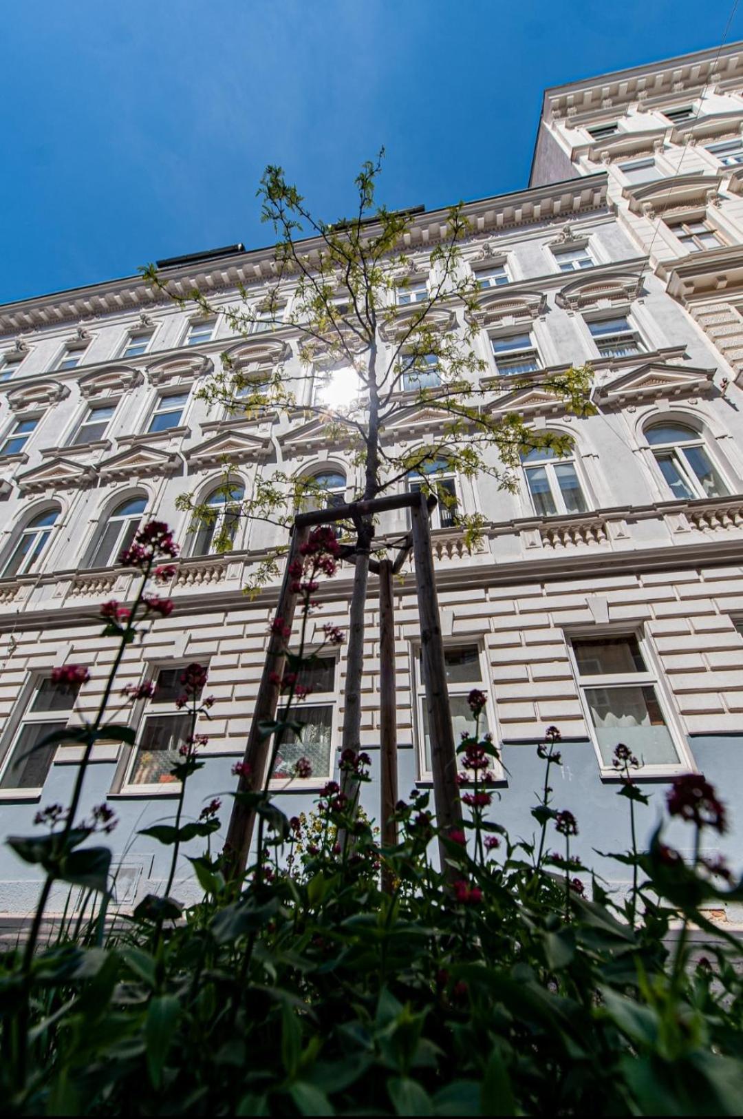 Vienna My City Apartment Garden View Exteriér fotografie